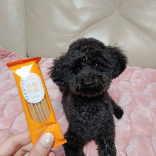 apple님이 올린 리뷰 사진 2
