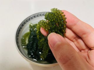 [피터씨마켓] 바다포도 100g(20g x 5봉) 우미부도 그린캐비어 ASMR 소분포장 — 4점을 준 리뷰어가 2024년 8월 올린 사용 사진