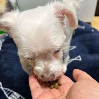 뽀히님이 올린 리뷰 사진 3