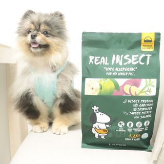 [푸디웜] 라포그  리얼인섹트 웨이트밸런스 저알러지 강아지 사료  1.2KG — 5점을 준 리뷰어가 2022년 7월 올린 사용 사진