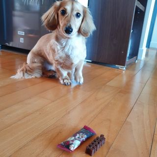승희님이 올린 리뷰 사진 3
