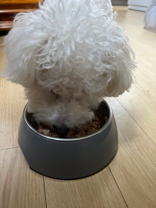 bestme7님이 올린 리뷰 사진 1