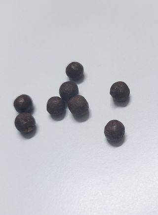 펫21 그로그로 5종 강아지 고양이 반려동물 한방 영양제 — 5점을 준 리뷰어가 2021년 11월 올린 사용 사진