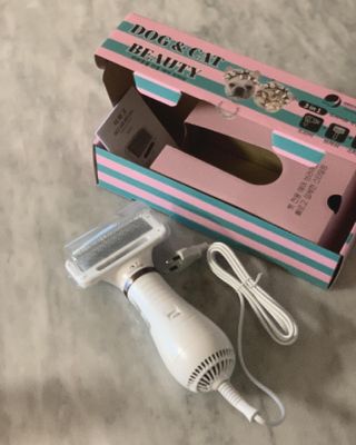아베크 펫 강아지 고양이 애견 에어 브러쉬 드라이기 올인원 — 5점을 준 리뷰어가 2021년 7월 올린 사용 사진