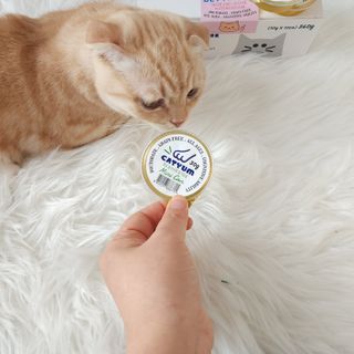 쭌뭉님이 올린 리뷰 사진 1