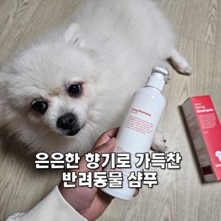 [댕모어 샴푸 2종] 댕샴푸 / 퍼피샴푸  2종 세트 (300ml) — 5점을 준 리뷰어가 2023년 10월 올린 사용 사진