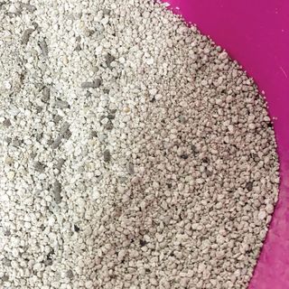 겟플렉스 켓플렉스 캣츠룸BS-1 고양이모래 4kg — 5점을 준 리뷰어가 2021년 3월 올린 사용 사진