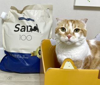 alonggoon님이 올린 리뷰 사진 1