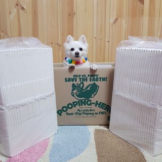 떠뇽님이 올린 리뷰 사진 1