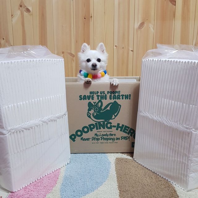 푸핑히어로 리뷰 사진