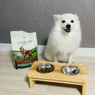 영국 바이탈린 강아지 애견사료 2kg — 5점을 준 리뷰어가 2021년 6월 올린 사용 사진