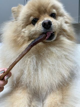 샐리지아님이 올린 리뷰 사진 3