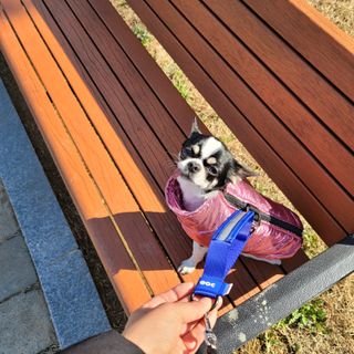 썽이mom앙꼬님이 올린 리뷰 사진 1