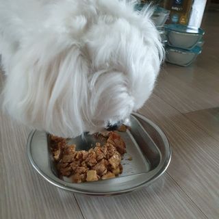 hosu.1230님이 올린 리뷰 사진 4