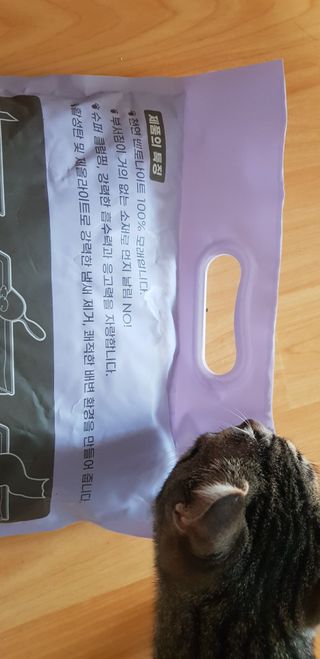 겟플렉스 켓플렉스 캣츠룸BS-1 고양이모래 4kg — 5점을 준 리뷰어가 2021년 2월 올린 사용 사진