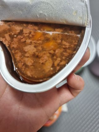 비타크래프트 조에시 하트캔 85g 강아지 습식캔 10캔 — 5점을 준 리뷰어가 2021년 9월 올린 사용 사진