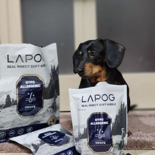 [푸디웜] 라포그 리얼인섹트 소프트키블 스킨 1KG — 4.5점을 준 리뷰어가 2022년 9월 올린 사용 사진