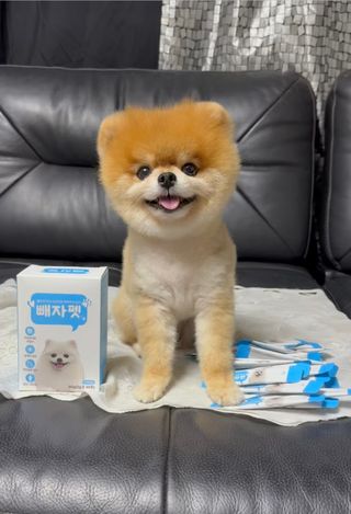 뽀야니님이 올린 리뷰 사진 1
