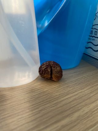민댕댕이님이 올린 리뷰 사진 3