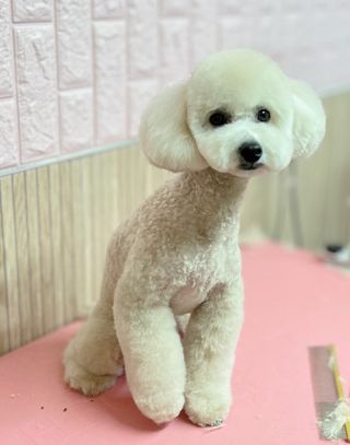 수원여신님이 올린 리뷰 사진 2