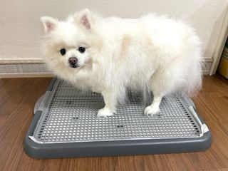 두아들맘님이 올린 리뷰 사진 1