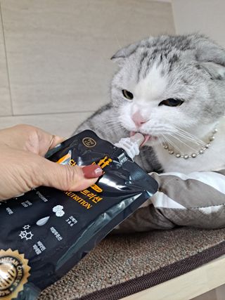 라니으니님이 올린 리뷰 사진 1