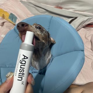 풀희띠님이 올린 리뷰 사진 1