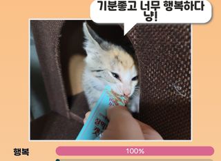 페페로니 잘 먹는 캣츄 - 원양선 참치 24개입 — 5점을 준 리뷰어가 2021년 10월 올린 사용 사진