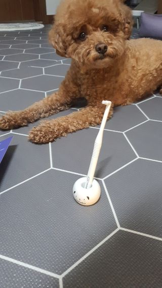 모떼네님이 올린 리뷰 사진 4