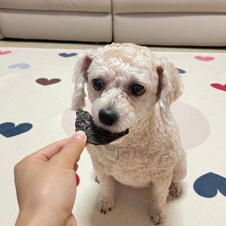 나은님이 올린 리뷰 사진 4