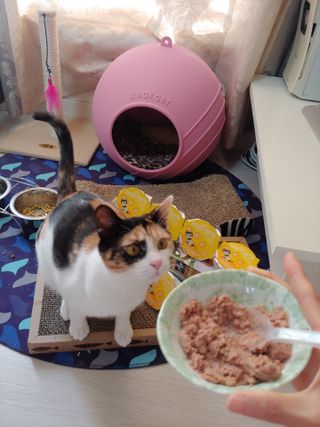 홍제이님이 올린 리뷰 사진 4