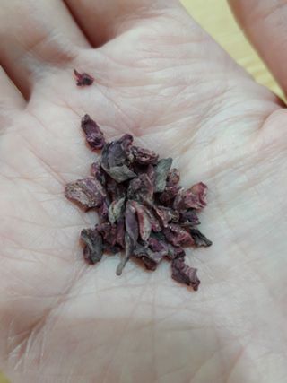마시다 매혹적인 붉은 빛이 입안 가득히, 비트루트차 — 5점을 준 리뷰어가 2021년 3월 올린 사용 사진