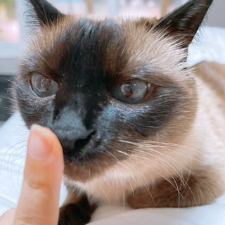 부우기님이 올린 리뷰 사진 1