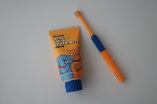 Pethroom 페스룸 PETHROOM DENTAL CARE SET 페스룸 덴탈 케어 세트 / 덴탈 클린 칫솔 + 덴탈 클린 치약 — 5점을 준 리뷰어가 2020년 12월 올린 사용 사진
