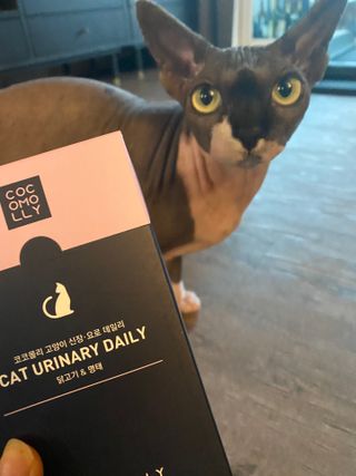 Dobby님이 올린 리뷰 사진 3