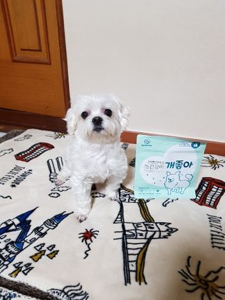 My Pet Care 천연단백질 눈건강에 개좋아 — 3점을 준 리뷰어가 2020년 12월 올린 사용 사진