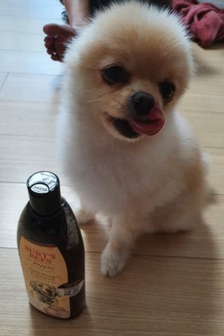 보미누나님이 올린 리뷰 사진 1