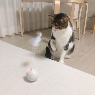 트윙클J님이 올린 리뷰 사진 1
