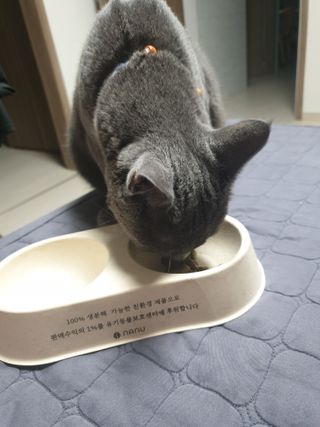 유지영님이 올린 리뷰 사진 1