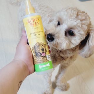 또롱님이 올린 리뷰 사진 3