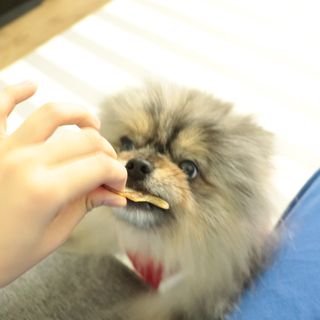 오코리타님이 올린 리뷰 사진 3