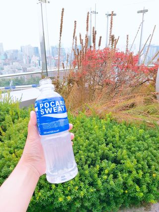 MF[포카리스웨트] 500ml PET — 5점을 준 리뷰어가 2023년 10월 올린 사용 사진