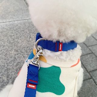 베이컨박스 [BACON] 고아웃클럽 이지그립 리드줄, 목줄 세트-BLUE — 5점을 준 리뷰어가 2021년 7월 올린 사용 사진