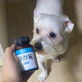 곽현정님이 올린 리뷰 사진 1