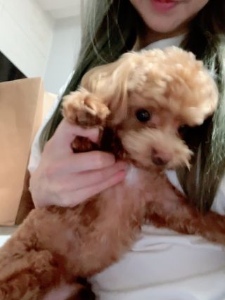 ehlove님이 올린 리뷰 사진 1
