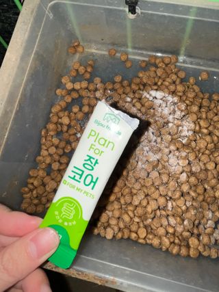 밤비짱님이 올린 리뷰 사진 3