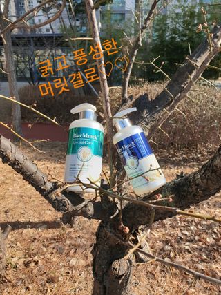 참살이님이 올린 리뷰 사진 2