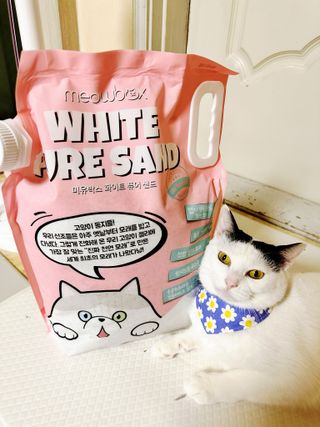 유키코코샤넬님이 올린 리뷰 사진 1