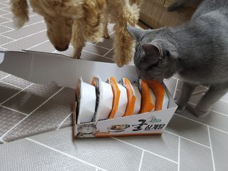 보리엄마님이 올린 리뷰 사진 2