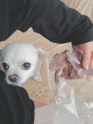designerjoo님이 올린 리뷰 사진 2